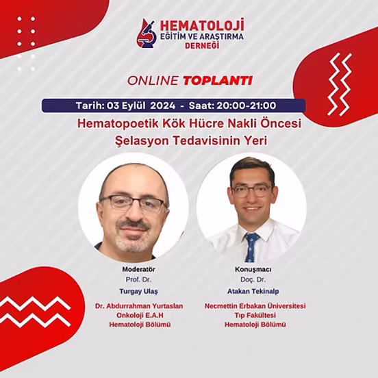 Hematopoetik Kök Hücre Nakli Öncesi Şelasyon Tedavisinin Yeri