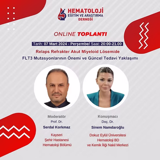 Relaps Refrakter Akut Miyeloid Lösemide FLT3 Mutasyonlarının Önemi ve Güncel Tedavi Yaklaşımı