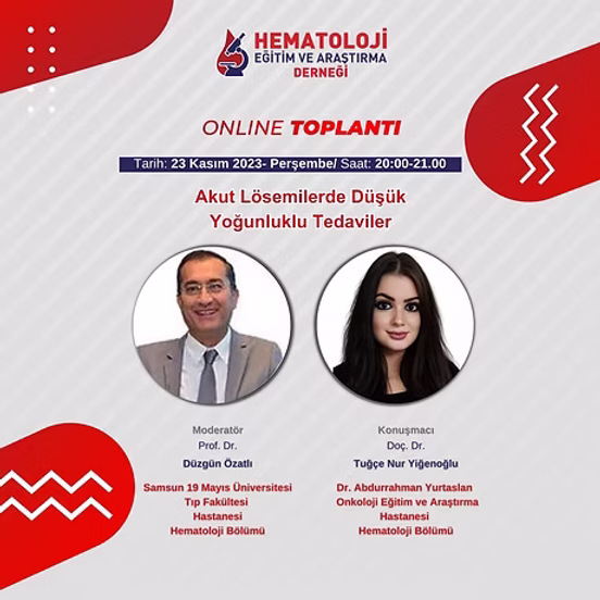 Akut Lösemilerde Düşük Yoğunluklu Tedaviler