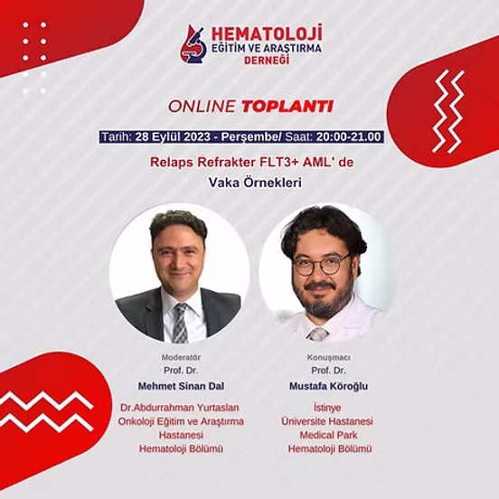 Relaps Refrakter FLT3+ AML’ de Vaka Örnekleri