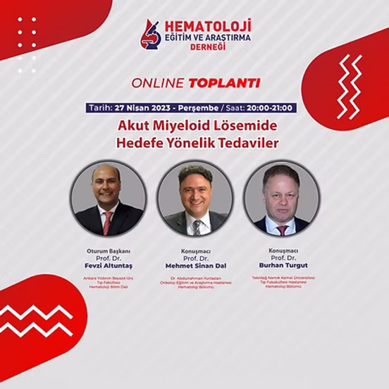 Akut Miyeloid Lösemide Hedefe Yönelik Tedaviler