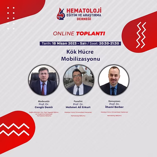 Kök Hücre Mobilizasyonu​