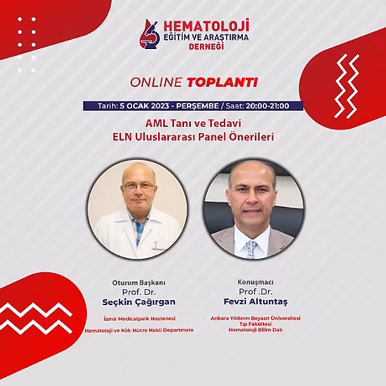 AML Tanı Tedavi ELN Uluslararası Önerileri