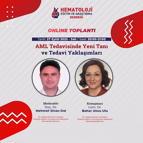 AML Tedavisinde Yeni Tanı ve Tedavi Yaklaşımları​