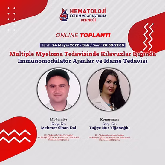 Multiple Myeloma Tedavisinde Kılavuzlar Işığında İmmünomodülatör Ajanlar ve İdame Tedavisi​